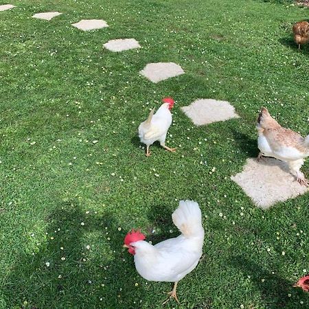 Hébergements Insolites dans tonneaux - Gite Le Coup de Foudre Vimoutiers Esterno foto