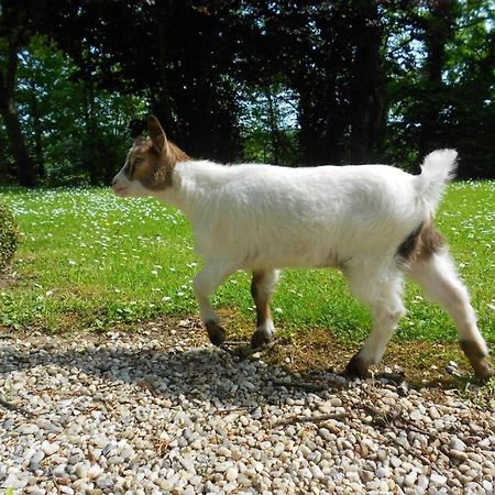Hébergements Insolites dans tonneaux - Gite Le Coup de Foudre Vimoutiers Esterno foto