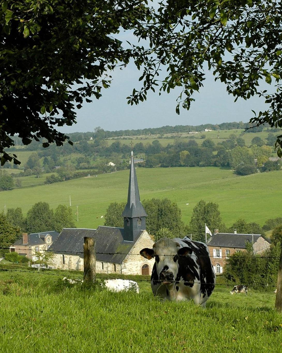 Hébergements Insolites dans tonneaux - Gite Le Coup de Foudre Vimoutiers Esterno foto